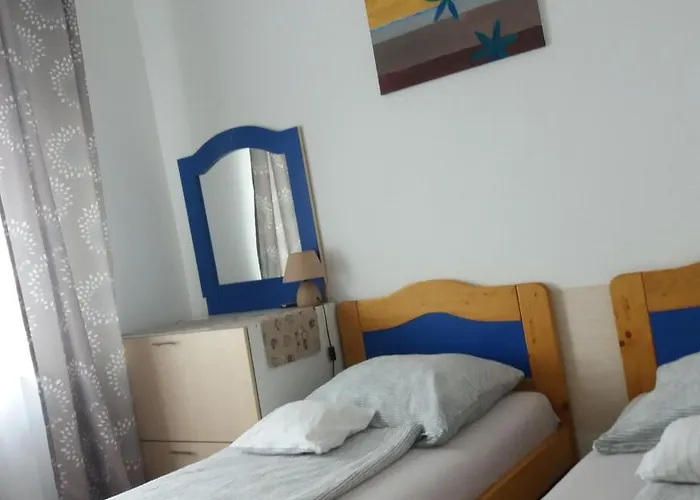Aliz Daire Nyíregyháza